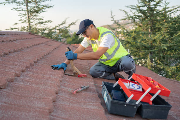 Best Best Roofing Contractors  in Luray, VA
