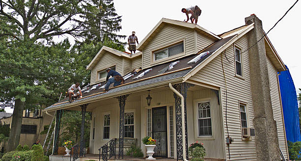Best Roof Gutter Cleaning  in Luray, VA