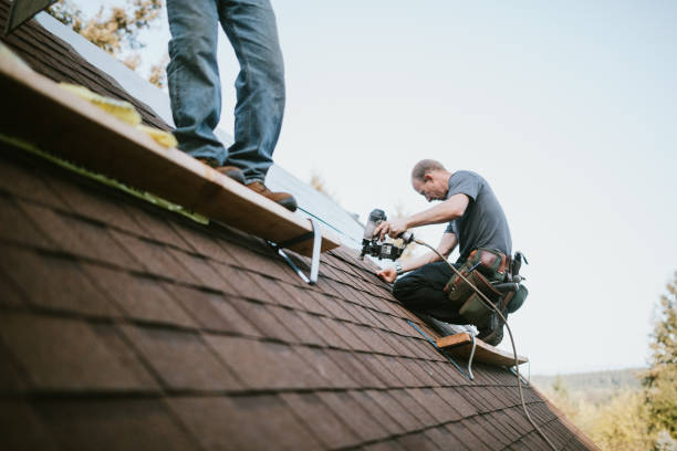 Best Roof Maintenance Services  in Luray, VA